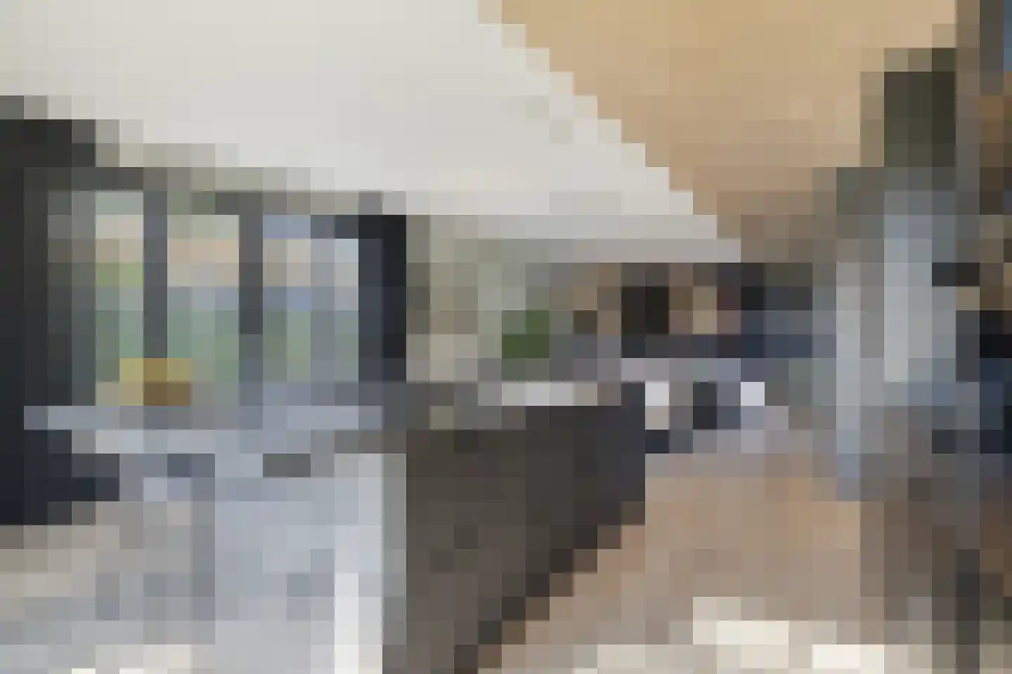 Schaapskooi 12 Prinsenbeek thumbnail 10
