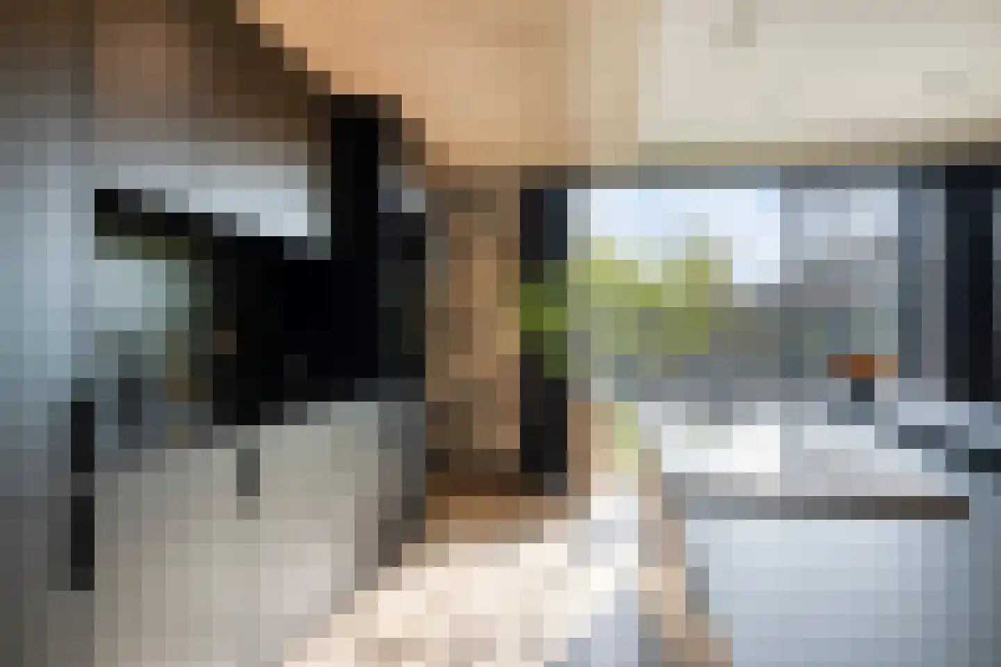 Schaapskooi 12 Prinsenbeek thumbnail 12