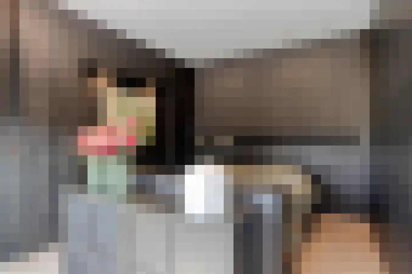 Schaapskooi 12 Prinsenbeek thumbnail 14