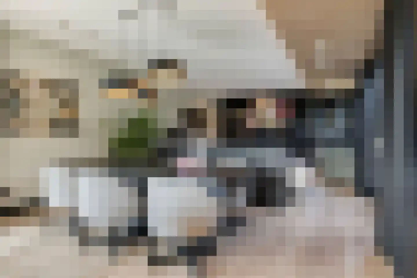 Schaapskooi 12 Prinsenbeek thumbnail 6