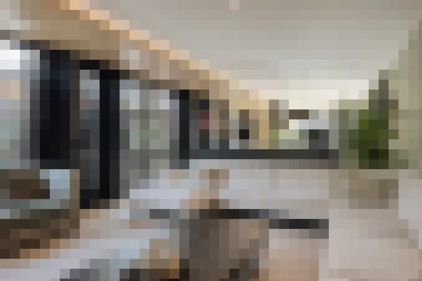 Schaapskooi 12 Prinsenbeek thumbnail 7