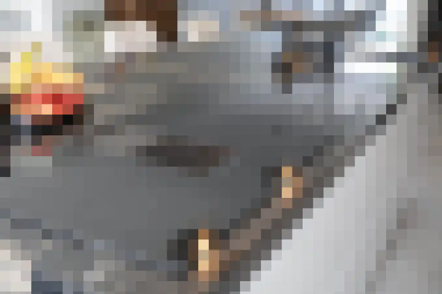 Schaapskooi 20 Prinsenbeek thumbnail 23