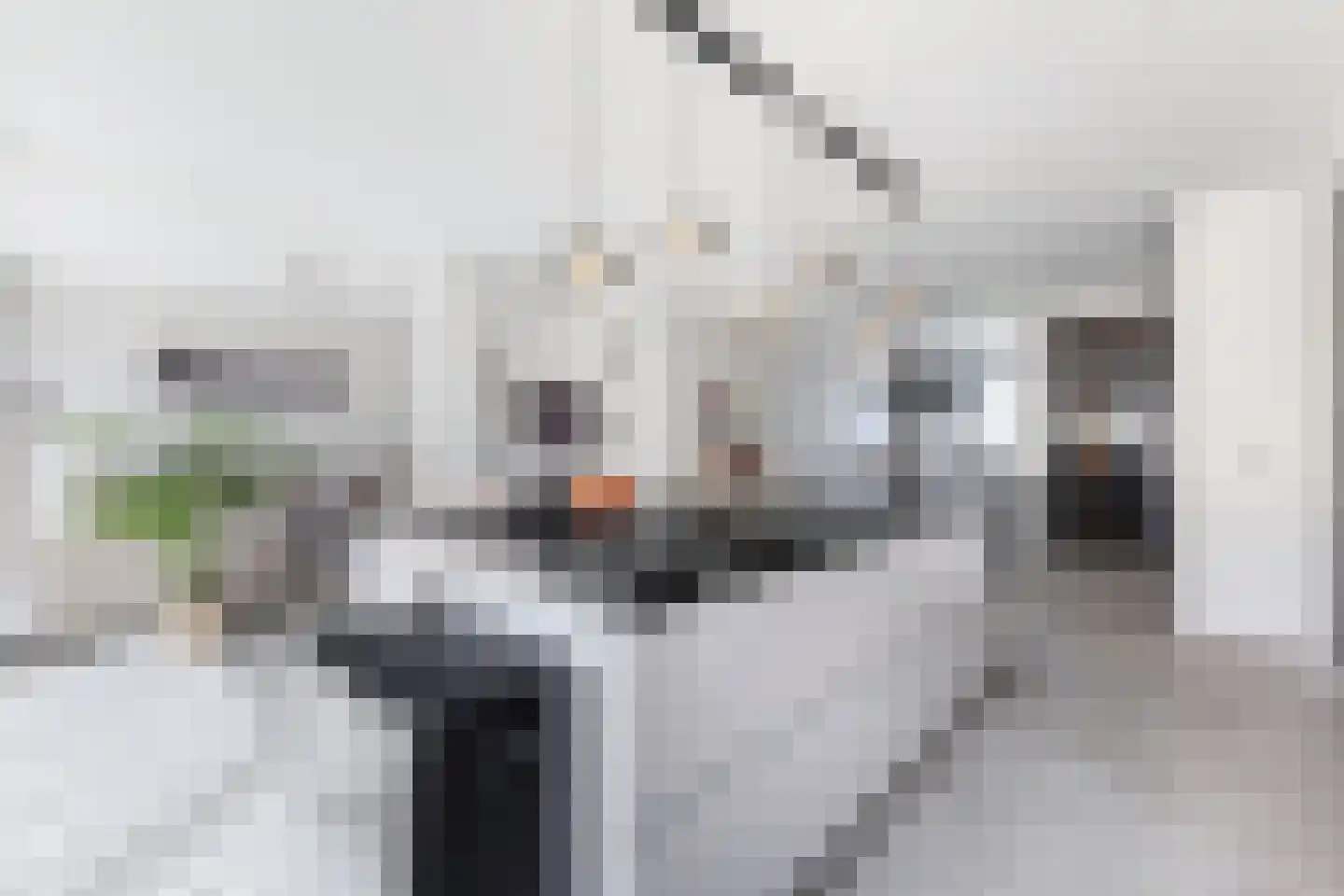 Schaapskooi 20 Prinsenbeek thumbnail 24