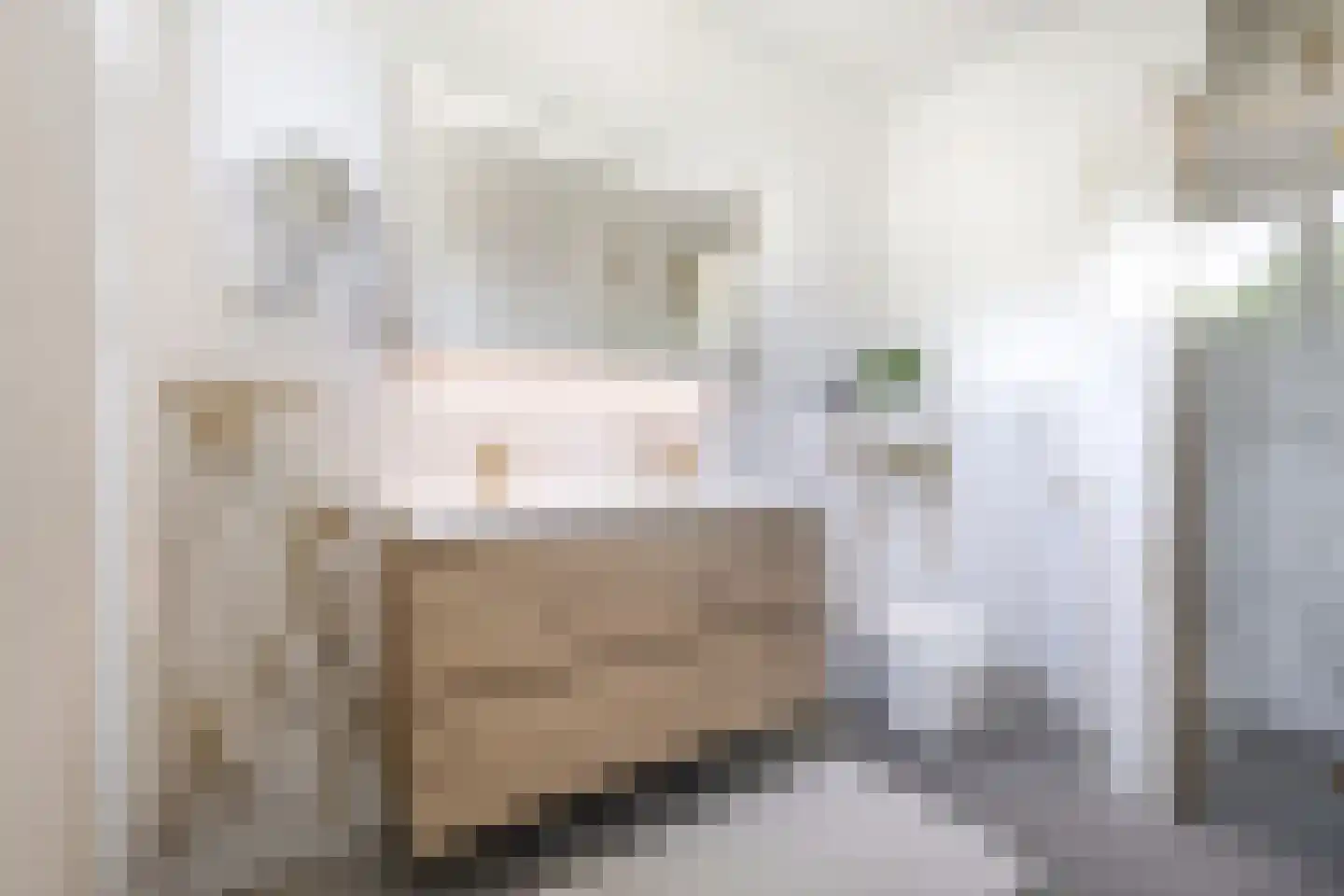 Schaapskooi 20 Prinsenbeek thumbnail 30
