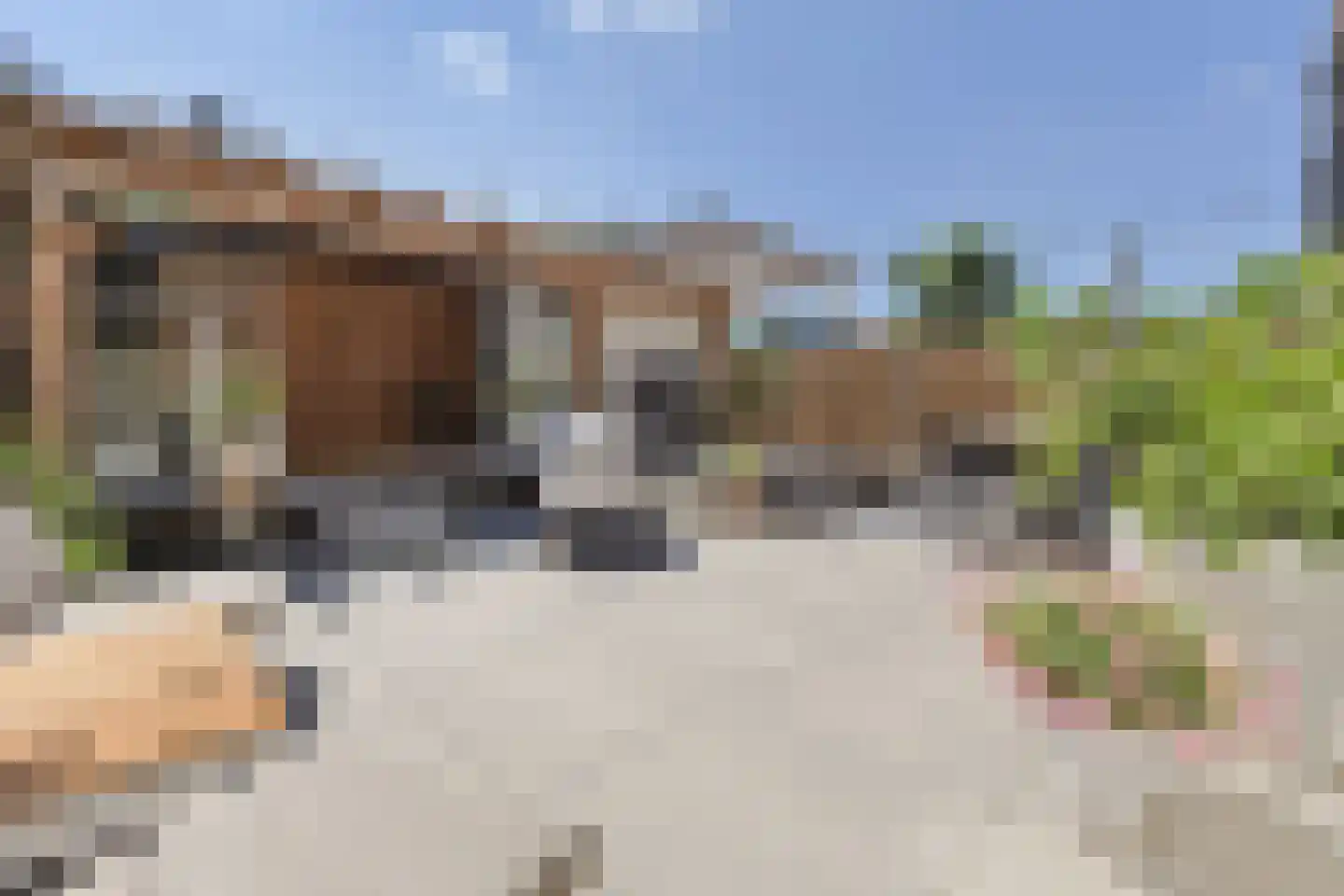 Schaapskooi 20 Prinsenbeek thumbnail 38
