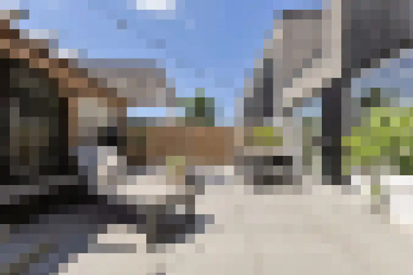 Schaapskooi 20 Prinsenbeek thumbnail 39