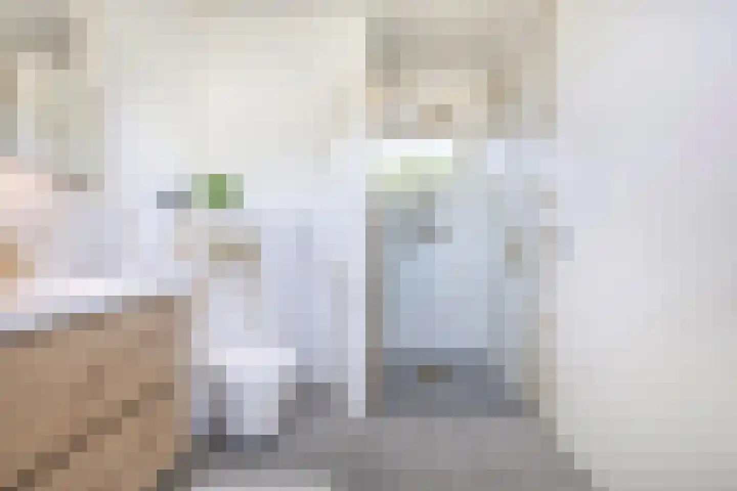 Schaapskooi 20 Prinsenbeek thumbnail 4