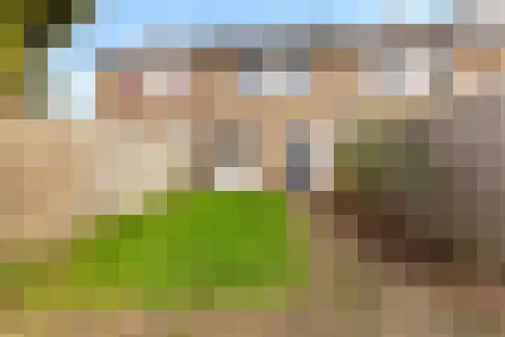 Schaapskooi 46 Wezep thumbnail 27