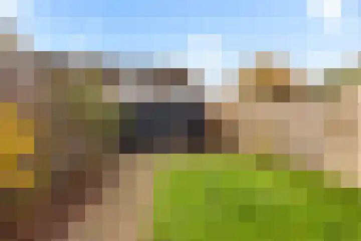 Schaapskooi 46 Wezep thumbnail 28