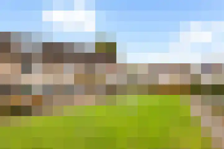 Schaapskooi 46 Wezep foto 3