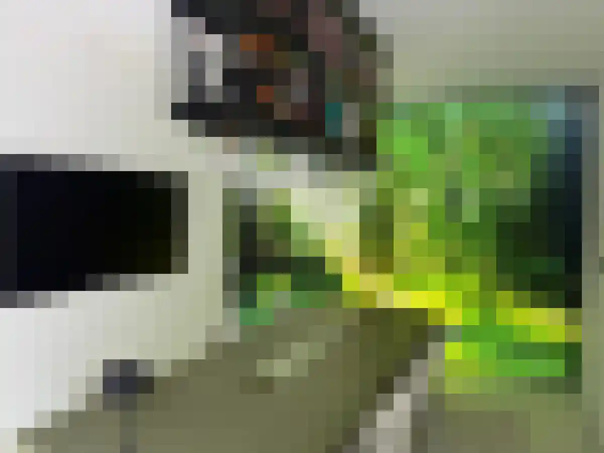 Schaapskooi 7 Prinsenbeek thumbnail 4