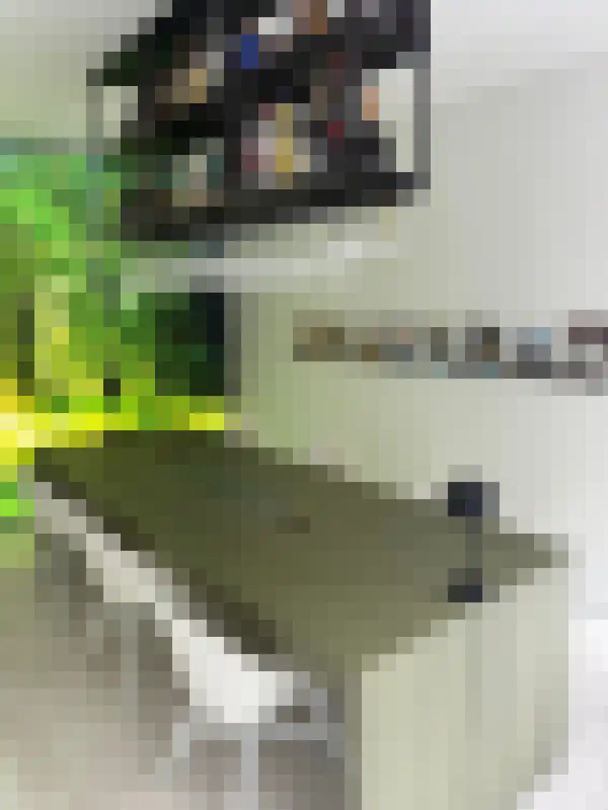 Schaapskooi 7 Prinsenbeek thumbnail 5