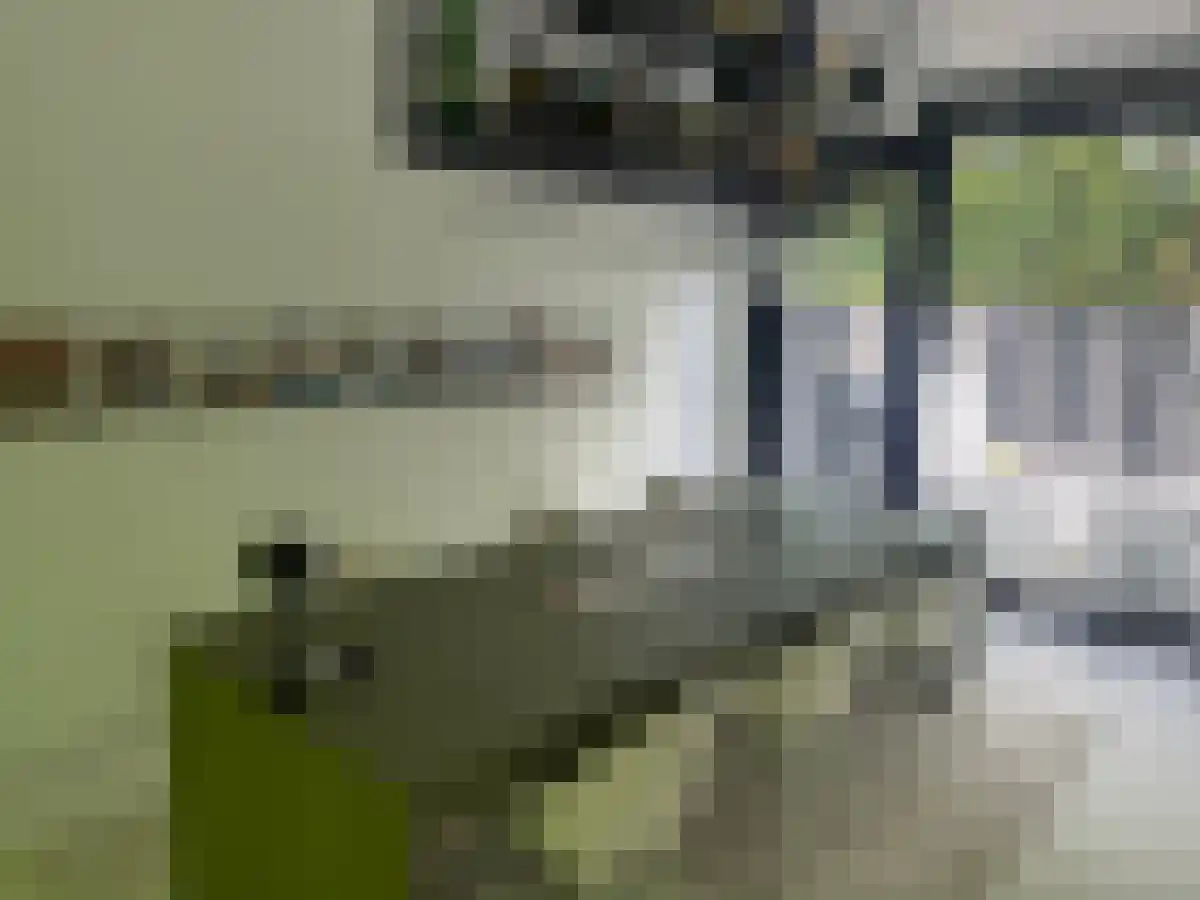 Schaapskooi 7 Prinsenbeek thumbnail 6