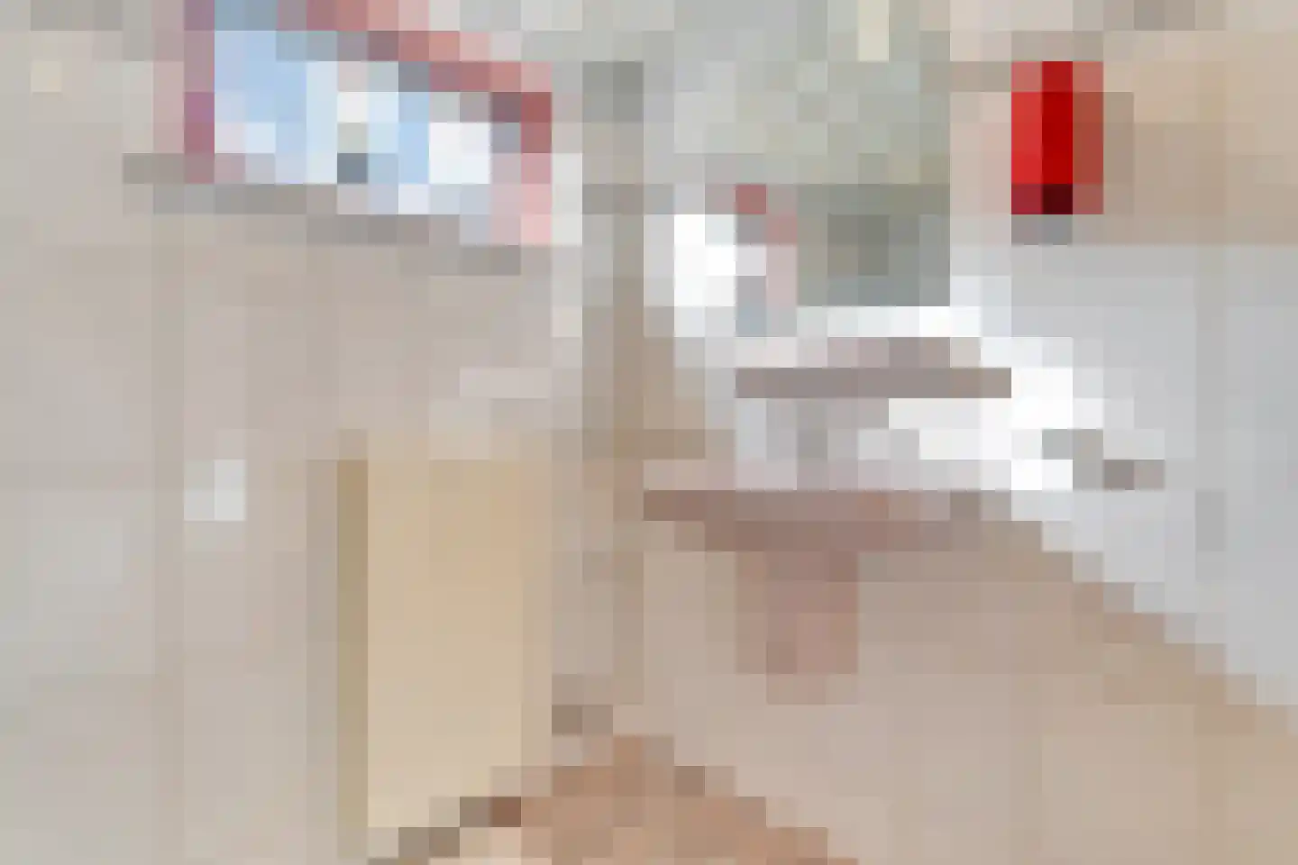 Schaapskooiweg 24 Nijverdal thumbnail 17