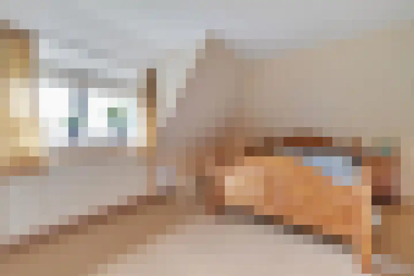 Schaapskooiweg 24 Nijverdal thumbnail 19