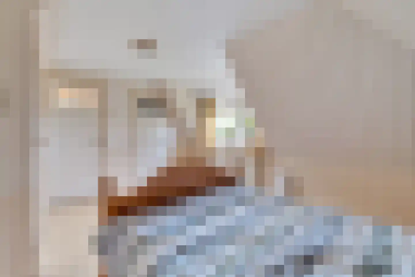 Schaapskooiweg 24 Nijverdal thumbnail 21
