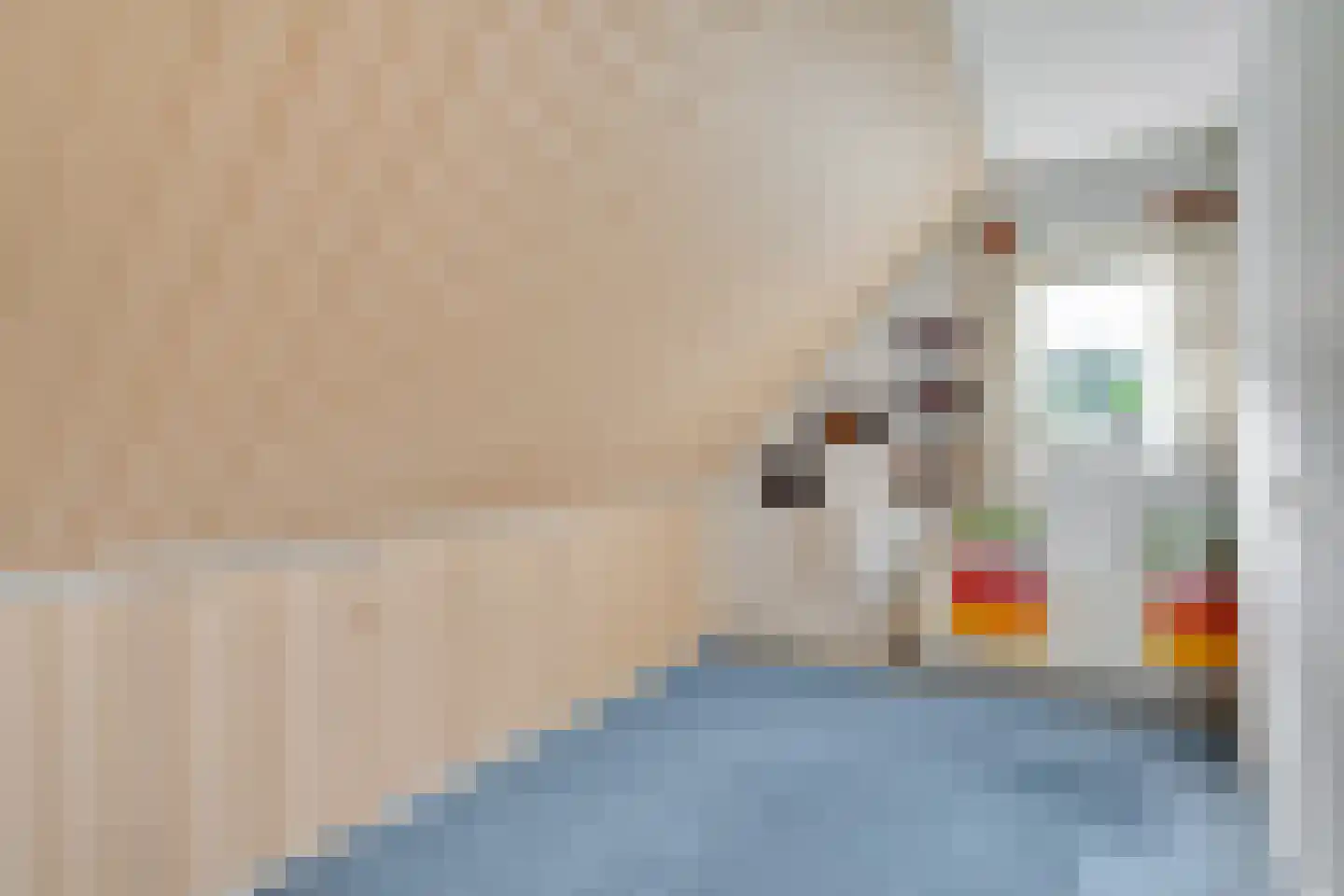 Schaapskooiweg 24 Nijverdal thumbnail 23