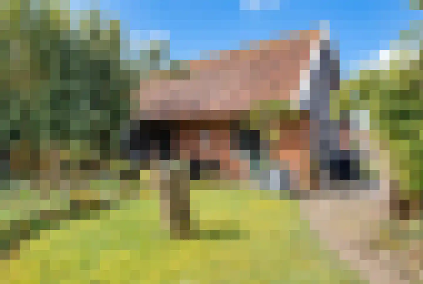 Schaapskooiweg 24 Nijverdal thumbnail 24