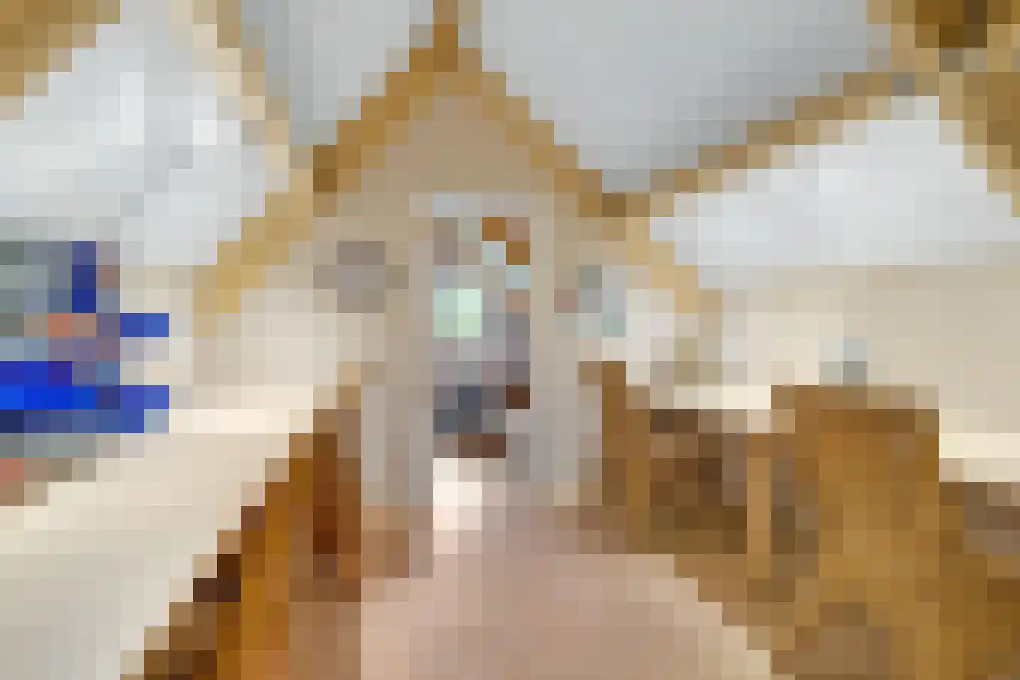 Schaapskooiweg 24 Nijverdal thumbnail 26