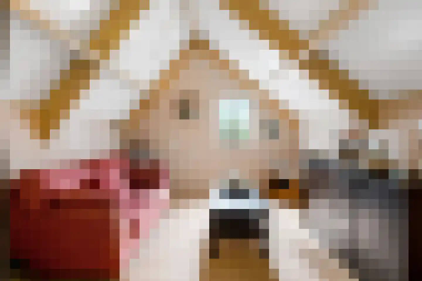 Schaapskooiweg 24 Nijverdal thumbnail 27