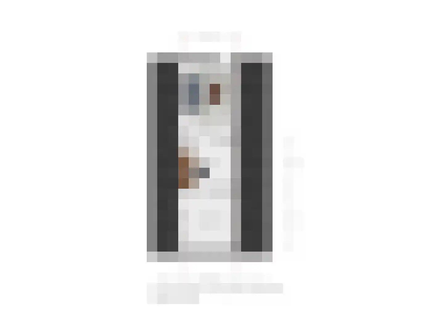 Schaapskooiweg 24 Nijverdal thumbnail 37