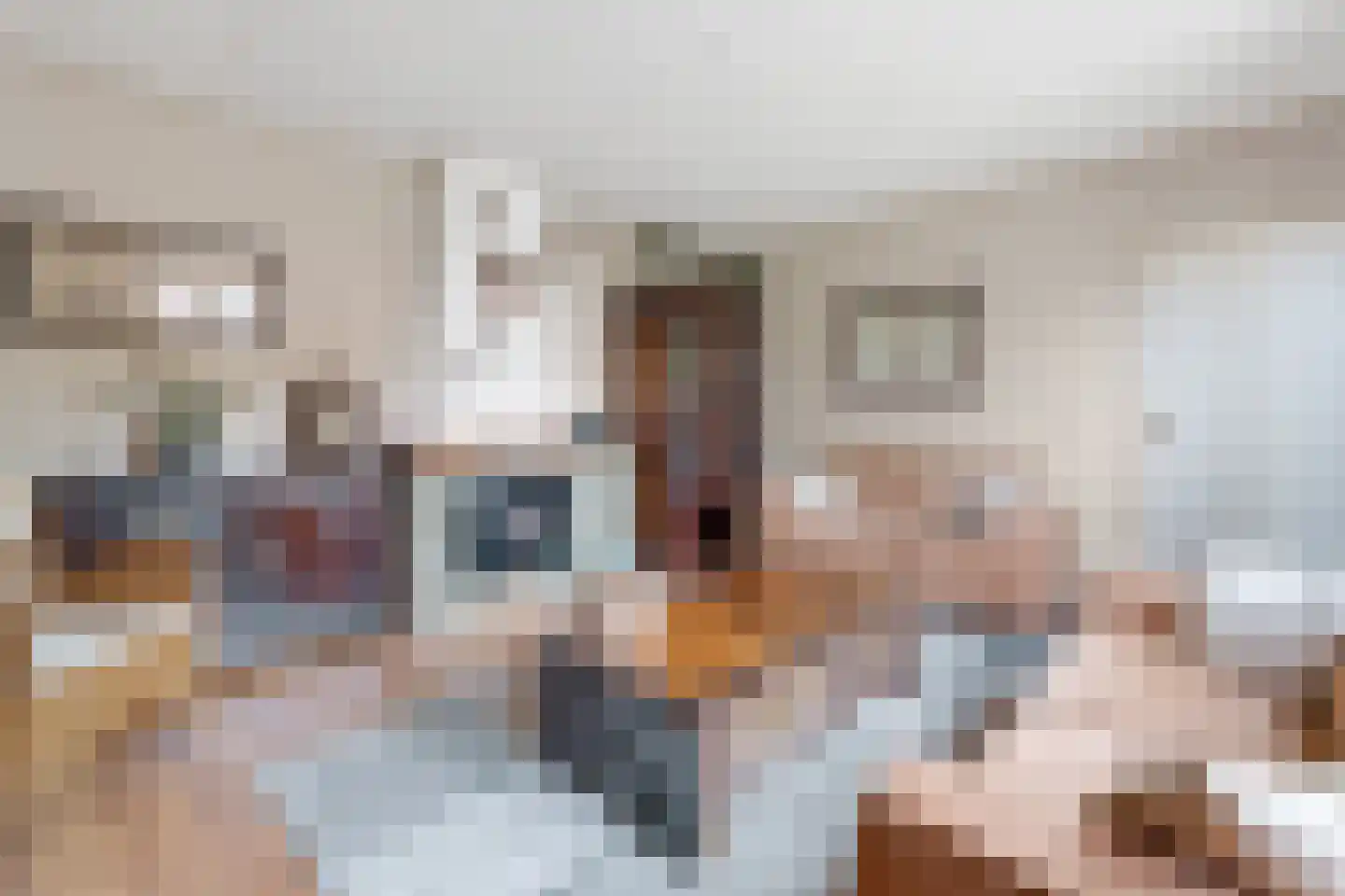 Schaapskooiweg 24 Nijverdal thumbnail 4