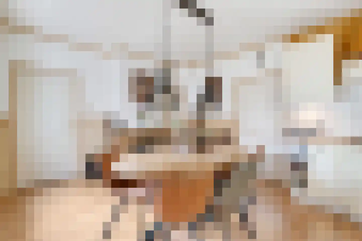 Schaapskooiweg 24 Nijverdal thumbnail 7