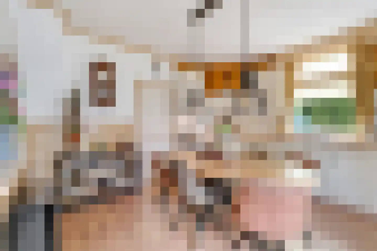 Schaapskooiweg 24 Nijverdal thumbnail 8