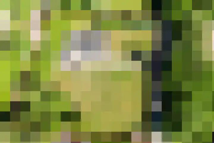 Schaapskooiweg 25 Heerlen thumbnail 16