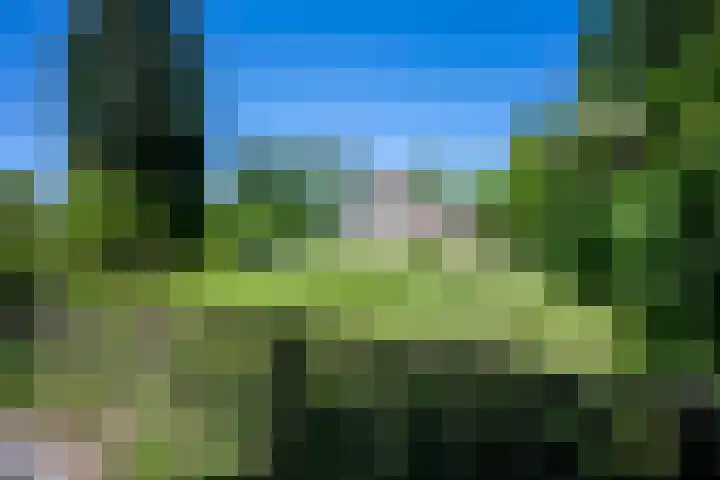 Schaapskooiweg 25 Heerlen thumbnail 18
