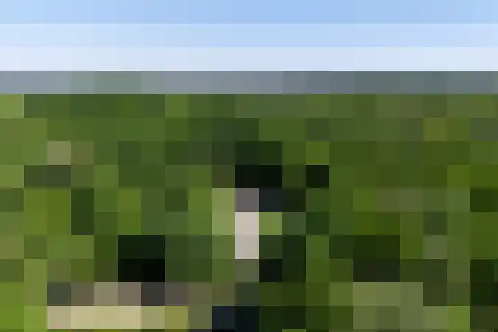 Schaapskooiweg 25 Heerlen thumbnail 19