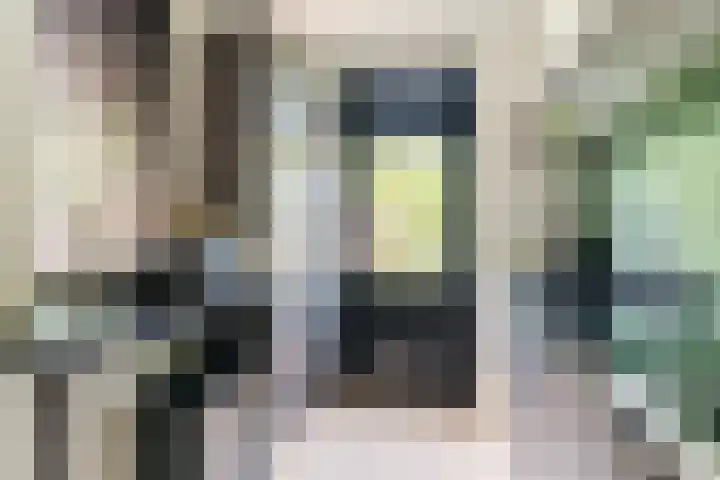 Schaapskuil 10 Bladel thumbnail 12