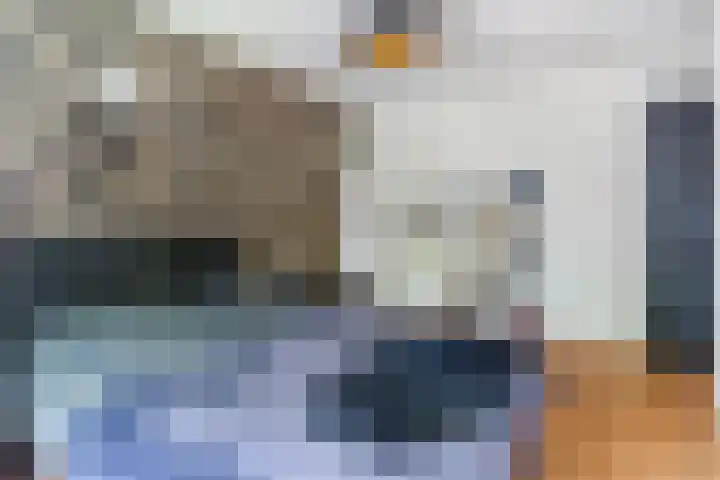 Schaapskuil 10 Bladel thumbnail 18