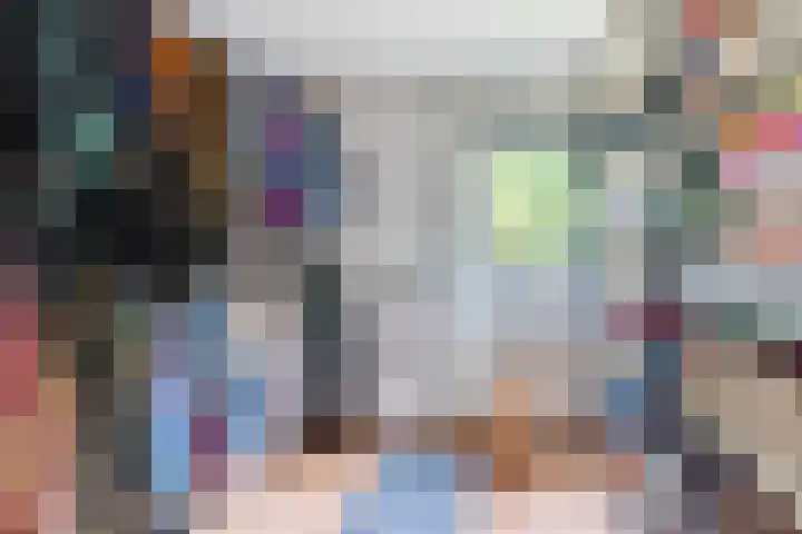 Schaapskuil 10 Bladel thumbnail 19