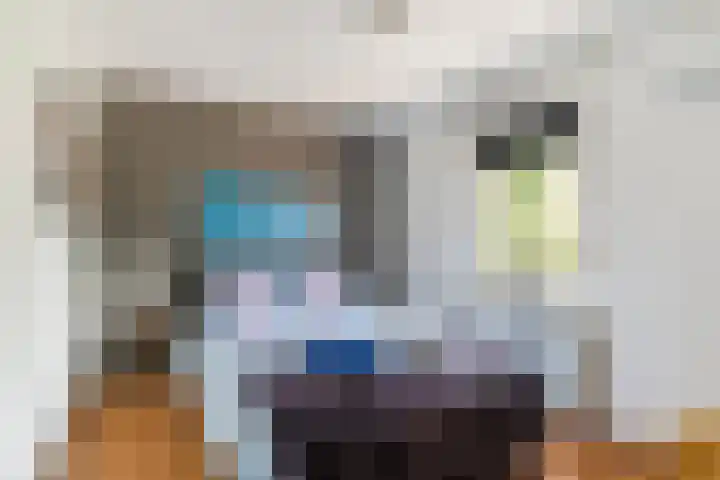 Schaapskuil 10 Bladel thumbnail 20