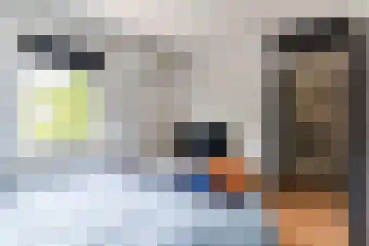 Schaapskuil 10 Bladel thumbnail 21