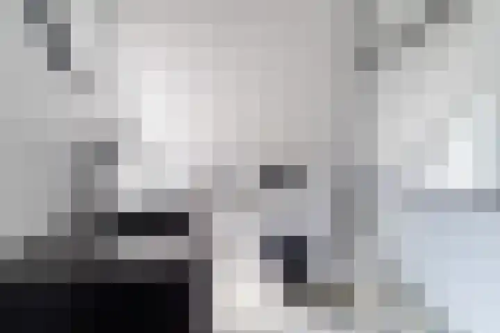 Schaapskuil 10 Bladel thumbnail 22