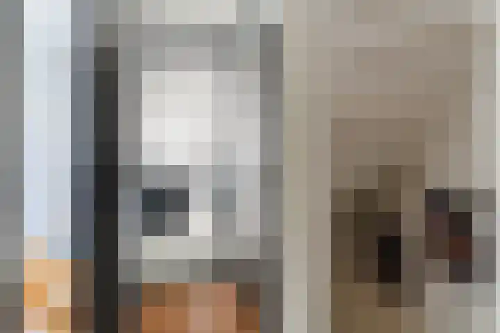 Schaapskuil 10 Bladel thumbnail 24