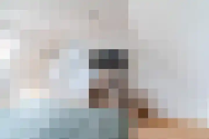 Schaapskuil 10 Bladel thumbnail 27