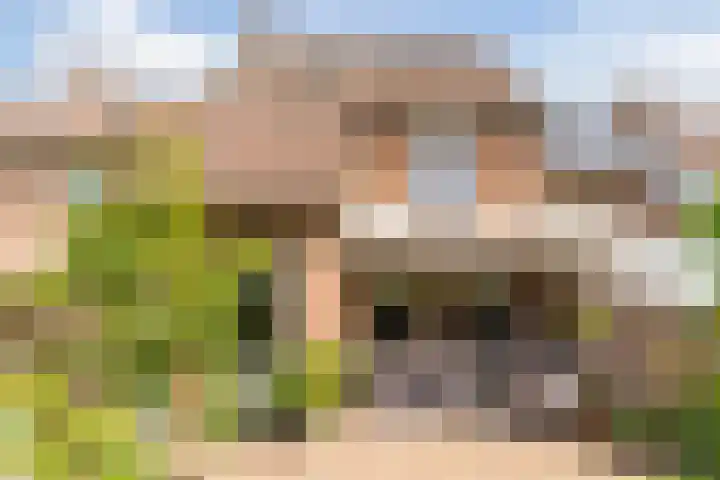 Schaapskuil 10 Bladel thumbnail 29