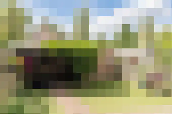 Schaapskuil 10 Bladel thumbnail 31