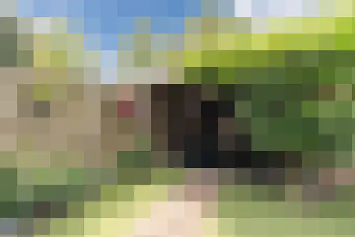Schaapskuil 10 Bladel thumbnail 32