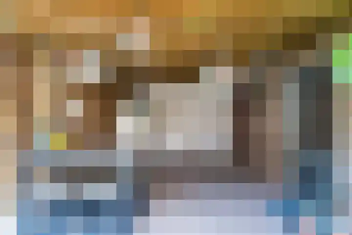 Schaapskuil 10 Bladel thumbnail 33