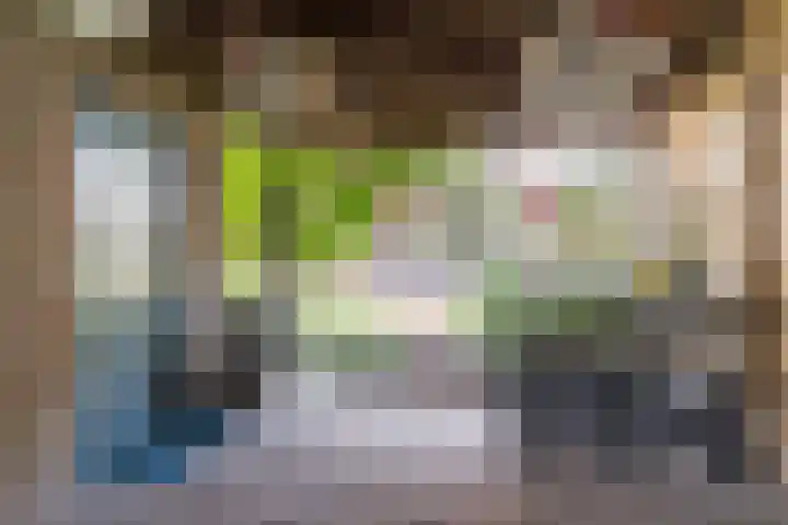 Schaapskuil 10 Bladel thumbnail 34