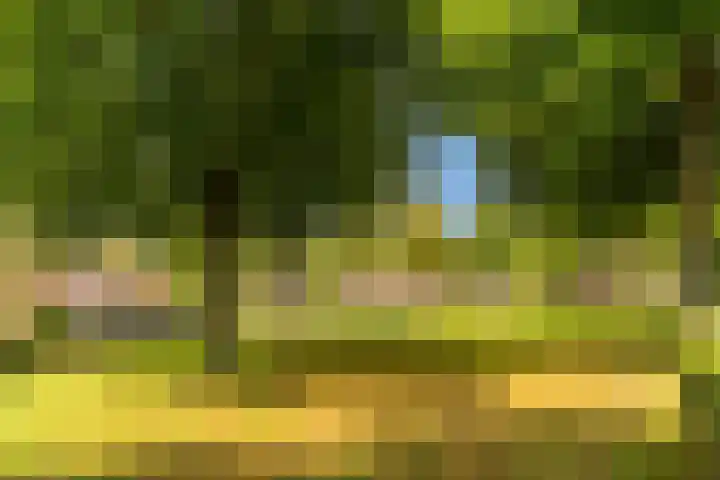 Schaapskuil 10 Bladel thumbnail 36