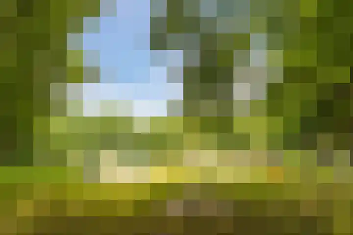 Schaapskuil 10 Bladel thumbnail 37