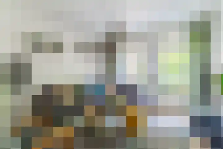 Schaapskuil 10 Bladel thumbnail 6