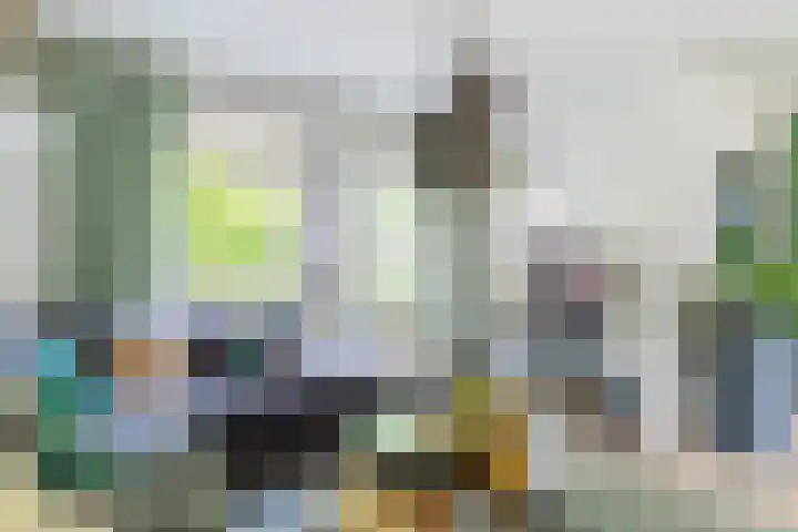 Schaapskuil 10 Bladel thumbnail 7