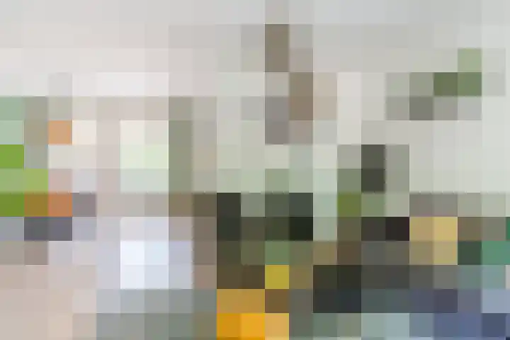 Schaapskuil 10 Bladel thumbnail 8