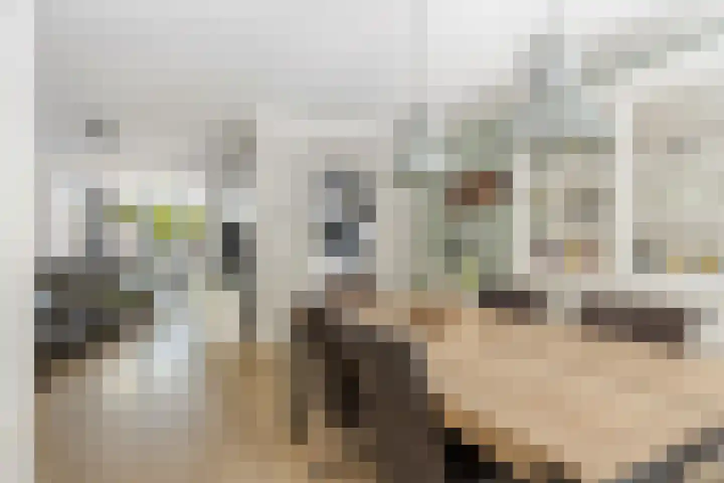 Schaapskuil 44 Bladel thumbnail 10
